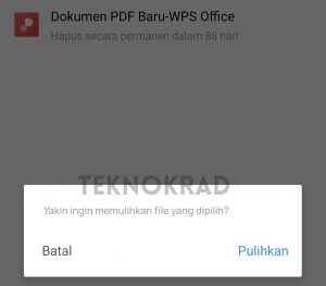 wps backup file location