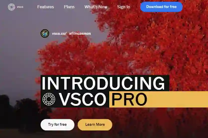 aplikasi bisnis online terbaik VSCO